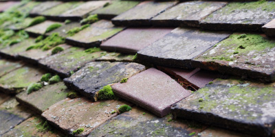 Bakers Wood roof repair costs